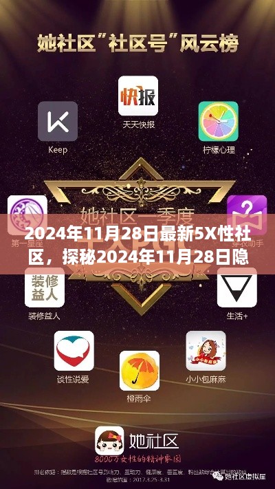 2024年11月28日最新5X性社区，探秘2024年11月28日隐藏小巷中的秘密乐园——5X性社区特色小店