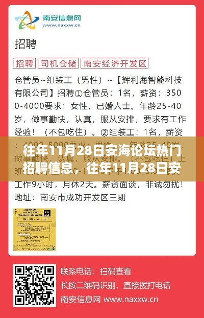 安海论坛历年11月28日热门招聘信息全解析，求职与技能提升攻略
