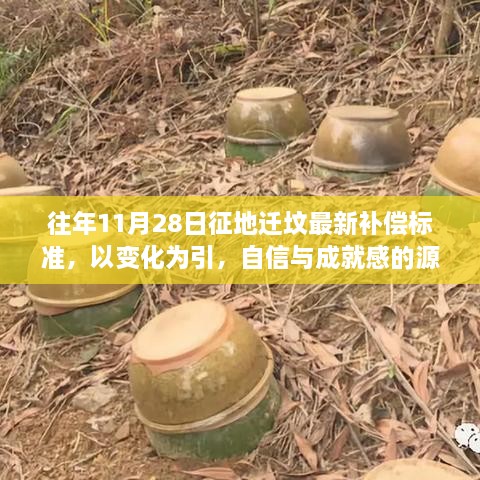 往年11月28日征地迁坟最新补偿标准解读，变化引发自信与成就感之源