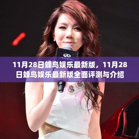 11月28日蜂鸟娱乐最新版全面评测与介绍