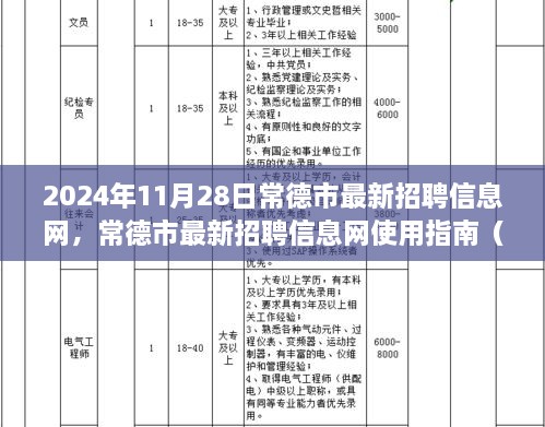 常德市最新招聘信息网使用指南（初学者与进阶用户适用）——2024年11月最新版招聘动态解读