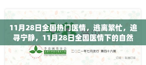 11月28日全国医情下的自然疗愈之旅，逃离繁忙，追寻宁静