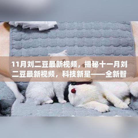 揭秘刘二豆最新科技视频，全新智能生活体验机的震撼亮相