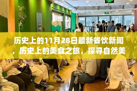 历史上的美食之旅，探寻自然美景背后的味蕾盛宴——最新餐饮新闻回顾