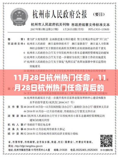 11月28日杭州热门任命背后的深度探析与观点探析