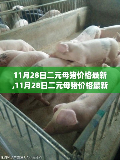 yaowuyinxin 第14页