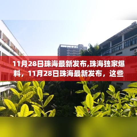 buweiquangui 第12页