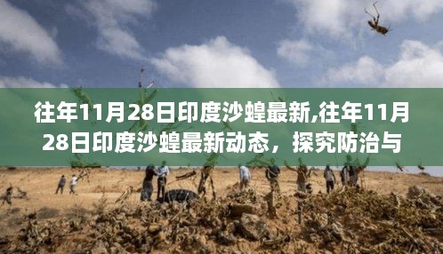 往年11月28日印度沙蝗最新动态，探究防治与影响，洞悉疫情进展