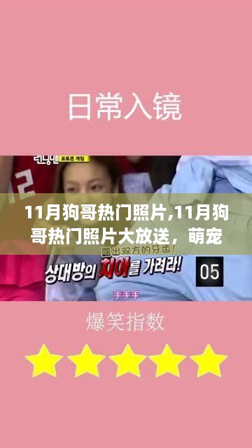 zhizaisifang 第14页