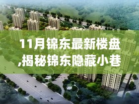 揭秘锦东隐藏小巷的独特风情，最新楼盘与别样风情小店探索