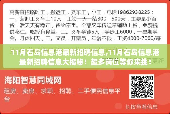 niaolibieguan 第13页