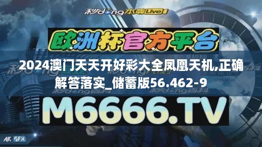 2024澳门天天开好彩大全凤凰天机,正确解答落实_储蓄版56.462-9