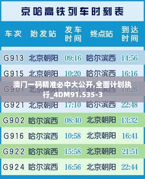 澳门一码精准必中大公开,全面计划执行_4DM91.535-3