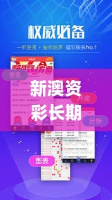 新澳资彩长期免费资金来源,经典解读说明_6DM82.326-8