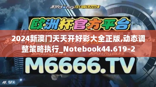 2024新澳门天天开好彩大全正版,动态调整策略执行_Notebook44.619-2