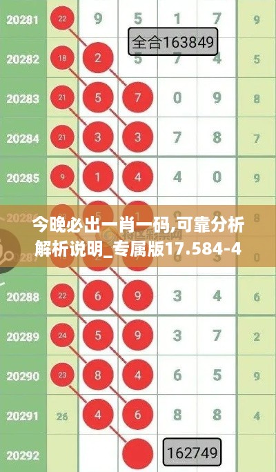 今晚必出一肖一码,可靠分析解析说明_专属版17.584-4