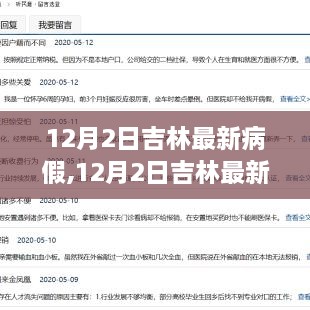 吉林最新病假政策解读，如何合理申请与享受病假待遇？