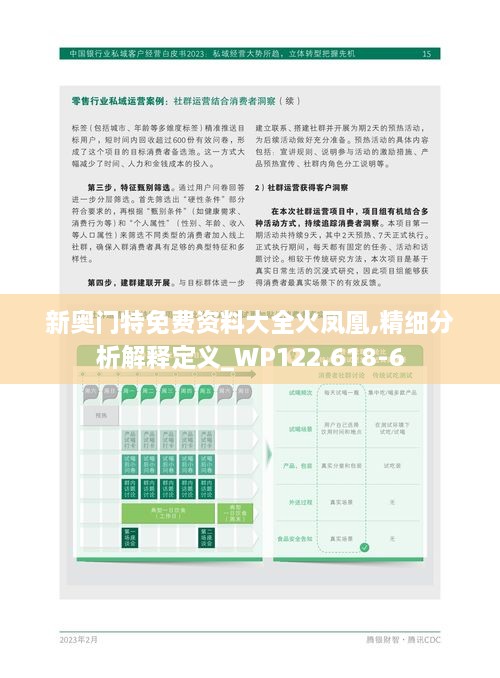 新奥门特免费资料大全火凤凰,精细分析解释定义_WP122.618-6