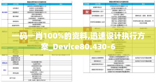 一码一肖100%的资料,迅速设计执行方案_Device80.430-6
