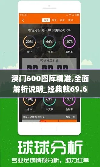 澳门600图库精准,全面解析说明_经典款69.663-9