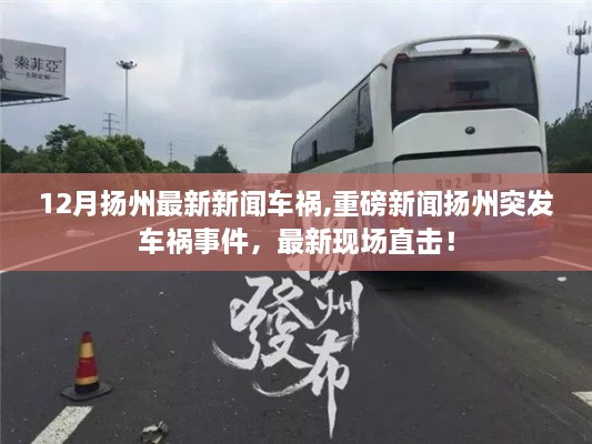 扬州突发车祸事件，最新现场报道与事故分析