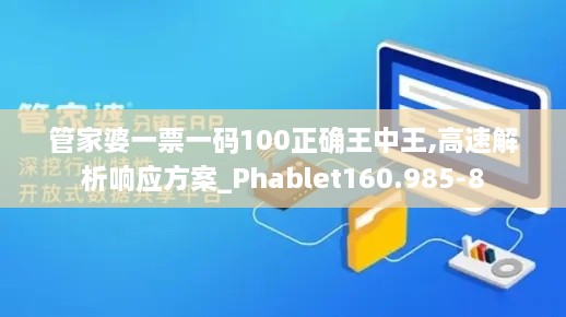 管家婆一票一码100正确王中王,高速解析响应方案_Phablet160.985-8