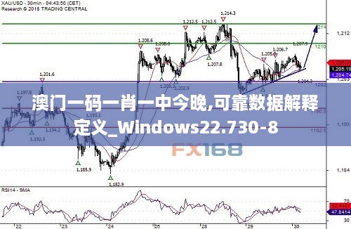 澳门一码一肖一中今晚,可靠数据解释定义_Windows22.730-8