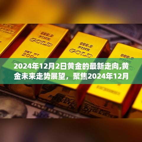 聚焦黄金动向，2024年黄金走势展望及未来展望
