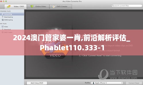 2024澳门管家婆一肖,前沿解析评估_Phablet110.333-1