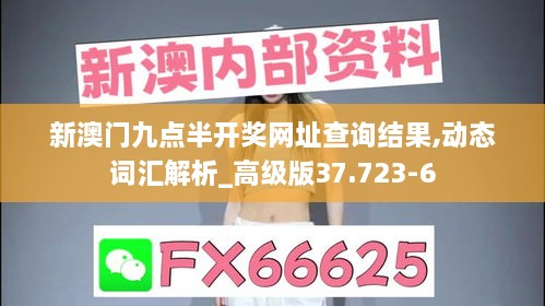 新澳门九点半开奖网址查询结果,动态词汇解析_高级版37.723-6