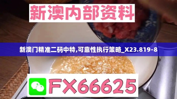 新澳门精准二码中特,可靠性执行策略_X23.819-8