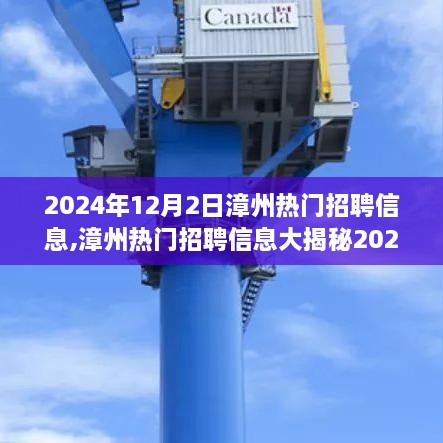 漳州热门招聘信息揭秘，精选职位等你来挑战（2024年12月）