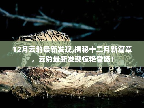 haozhengyixia 第11页