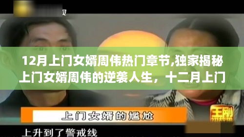 独家揭秘，上门女婿周伟的逆袭人生深度解析与热门章节回顾
