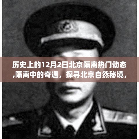 北京隔离奇遇，探寻自然秘境的宁静之旅——12月2日动态回顾