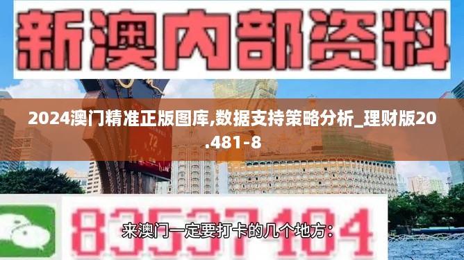 2024澳门精准正版图库,数据支持策略分析_理财版20.481-8