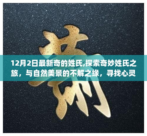 zhendujiangui 第12页