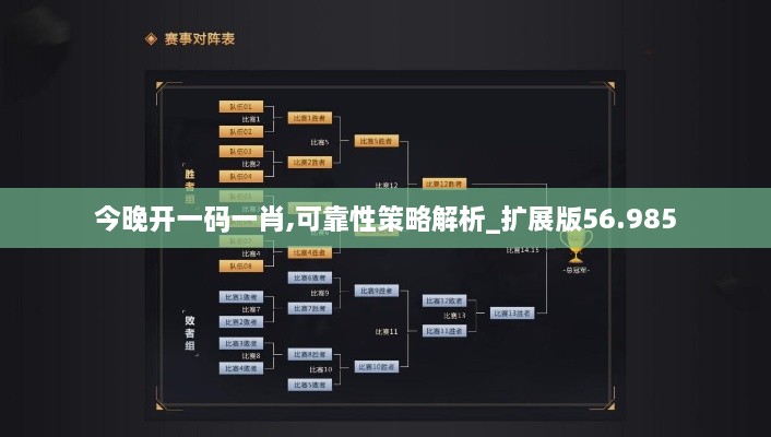 今晚开一码一肖,可靠性策略解析_扩展版56.985