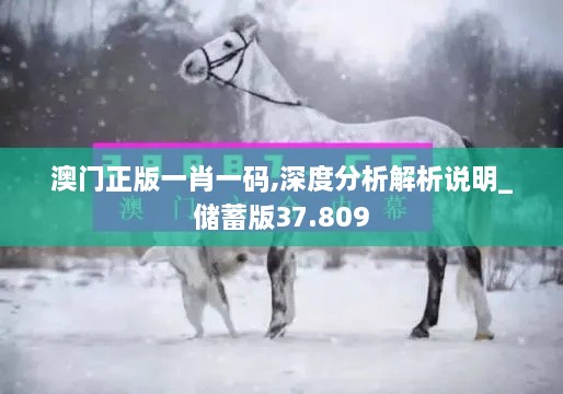澳门正版一肖一码,深度分析解析说明_储蓄版37.809