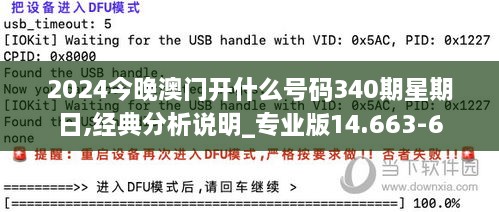 2024今晚澳门开什么号码340期星期日,经典分析说明_专业版14.663-6
