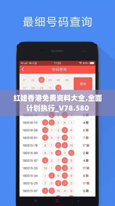 红姐香港免费资料大全,全面计划执行_V78.580