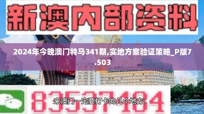2024年今晚澳门特马341期,实地方案验证策略_P版7.503
