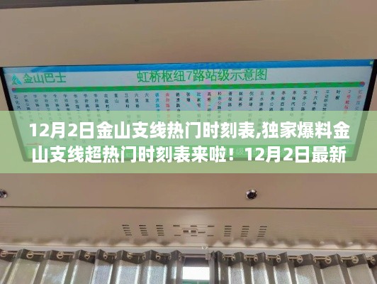 独家爆料，金山支线热门时刻表揭秘，出行必备指南！