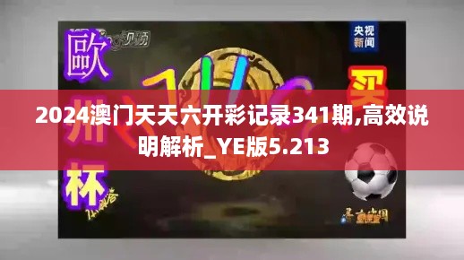 2024澳门天天六开彩记录341期,高效说明解析_YE版5.213