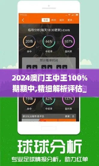 2024澳门王中王100%期期中,精细解析评估_10DM14.193