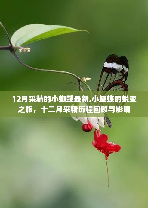 guiyinjianbi 第10页