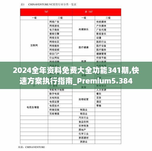 2024全年资料免费大全功能341期,快速方案执行指南_Premium5.384