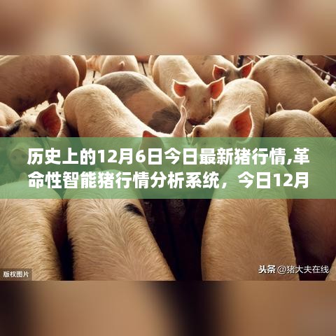 12月6日猪市新纪元，智能行情分析系统与革命性体验报告