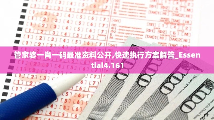 管家婆一肖一码最准资料公开,快速执行方案解答_Essential4.161
