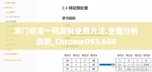 澳门精准一码发财使用方法,全面分析说明_ChromeOS3.600